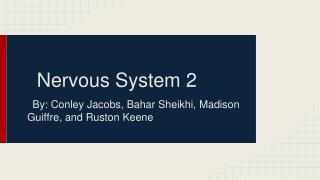 Nervous System 2