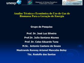 Analise Técnica e Econômica do Uso de Gas de Biomassa Para a Geração de Energia