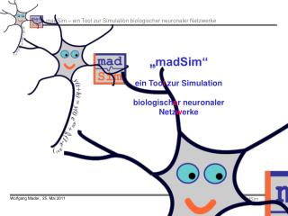 „ madSim“ ein Too l zur Simulation biologisch e r neuronaler Netz w erke