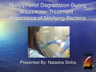 Nonylphenol Degradation During Wastewater Treatment - Importance of Nitrifying Bacteria