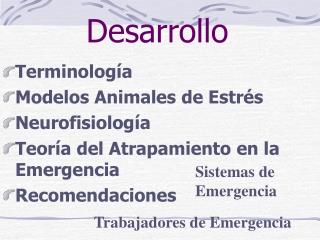 Desarrollo