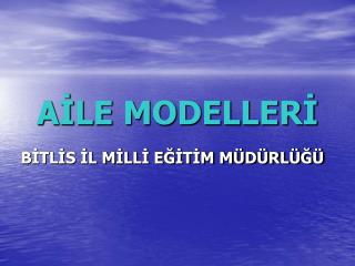 AİLE MODELLERİ