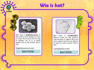 Wie is het?