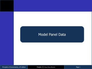 Model Panel Data