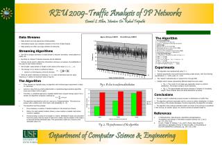 REU 2009-Traffic Analysis of IP Networks Daniel S. Allen, Mentor: Dr. Rahul Tripathi