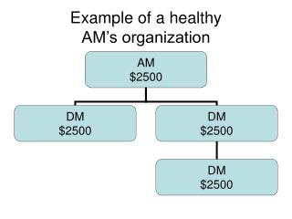 Example of a healthy AM’s organization