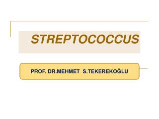 STREPTOCOCCUS