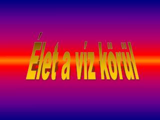 Élet a víz körül