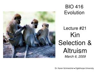 BIO 416 Evolution