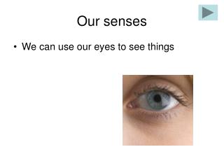 Our senses