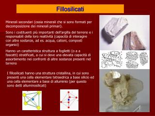 Fillosilicati