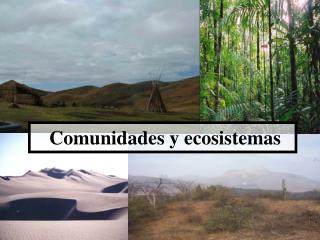 Comunidades y ecosistemas