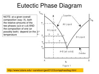 Eutectic Phase Diagram