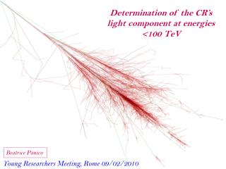 Determination of the CR’s light component at energies &lt;100 TeV