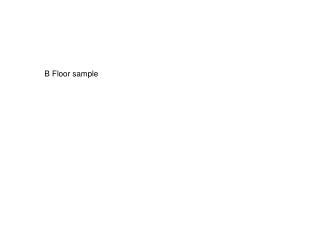 B Floor sample