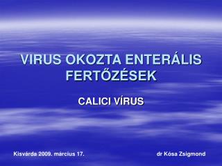 VIRUS OKOZTA ENTERÁLIS FERTŐZÉSEK