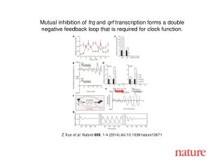 Z Xue et al. Nature 000 , 1-4 (2014) doi:10.1038/nature13671