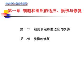 第一章 细胞和组织的适应、损伤与修复