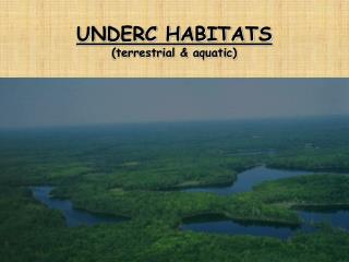 UNDERC HABITATS (terrestrial &amp; aquatic)