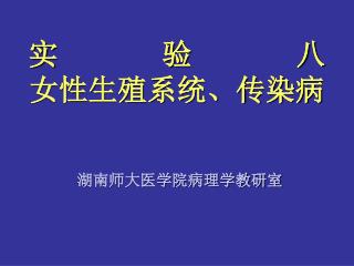 实 验 八 女性生殖系统、传染病