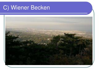 C) Wiener Becken