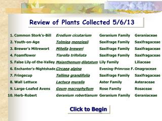 Review of Plants Collected 5/6/13