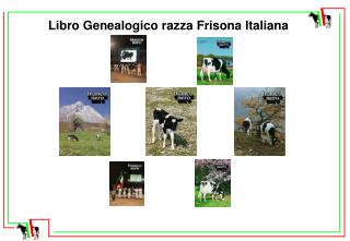 Libro Genealogico razza Frisona Italiana