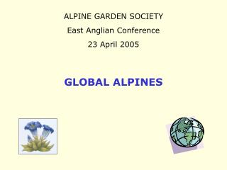 GLOBAL ALPINES