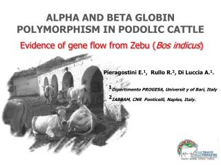 ALPHA AND BETA GLOBIN POLYMORPHISM IN PODOLIC CATTLE