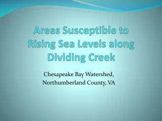Areas Susceptible to Rising Sea Levels along Dividing Creek