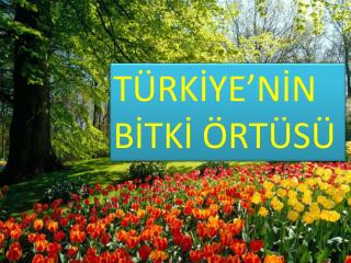 TÜRKİYE’NİN BİTKİ ÖRTÜSÜ