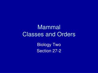 Mammal Classes and Orders