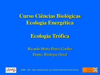 Curso Ciências Biológicas Ecologia Energética Ecologia Trófica