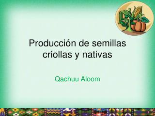 Producción de semillas criollas y nativas