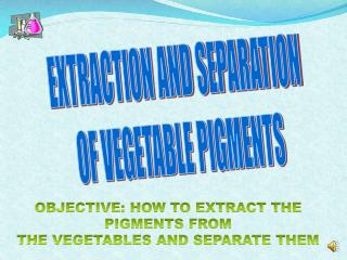 EXTRACTION AND SEPARATION OF VEGETABLE PIGMENTS