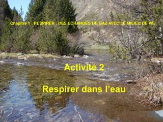 Activité 2 Respirer dans l’eau