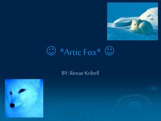  * Artic Fox* 