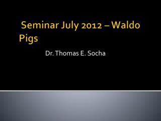 Seminar July 2012 – Waldo Pigs