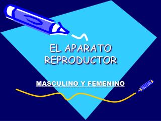 EL APARATO REPRODUCTOR