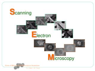 Corso di Microscopia Elettronica a Scansione P.L. Fabbri – M. Tonelli