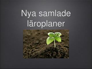 Nya samlade läroplaner