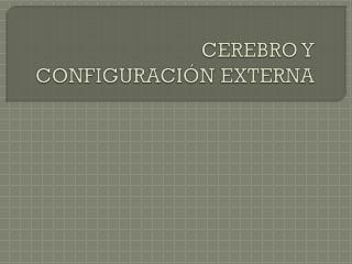 CEREBRO Y CONFIGURACIÓN EXTERNA