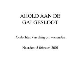 AHOLD AAN DE GALGESLOOT