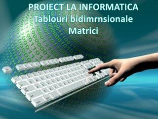 PROIECT LA INFORMATICA Tablouri bidimrnsionale Matrici