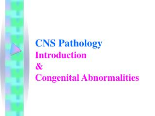 CNS Pathology Introduction &amp; Congenital Abnormalities