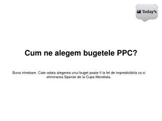 Cum ne alegem bugetele PPC?