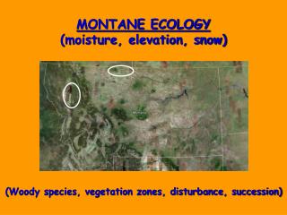 MONTANE ECOLOGY (moisture, elevation, snow)