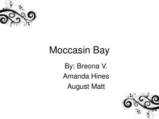 Moccasin Bay