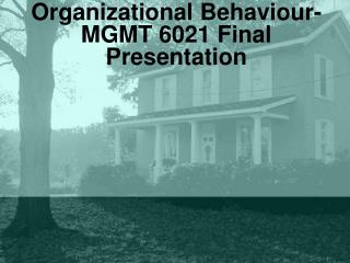 Organizational Behaviour- MGMT 6021 Final Presentation