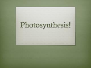 Photosynthesis!